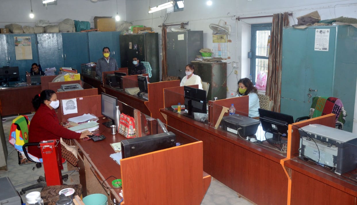 50 percent staff reached government offices