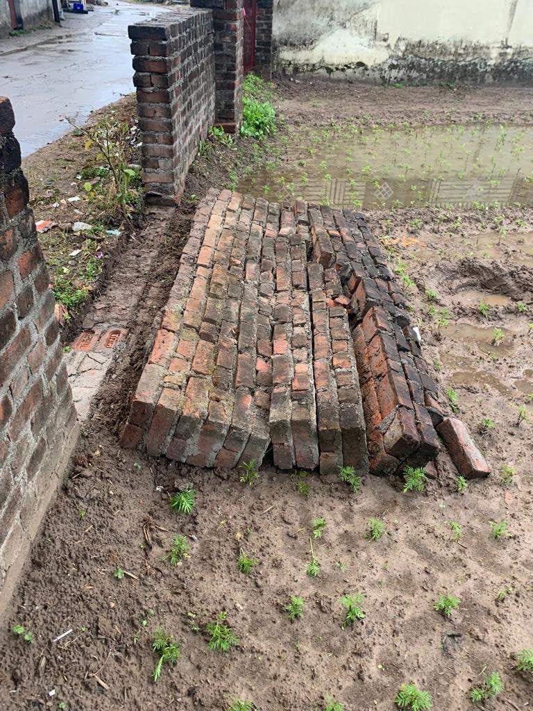 Elephant created havoc in areas adjacent to Motichur range
