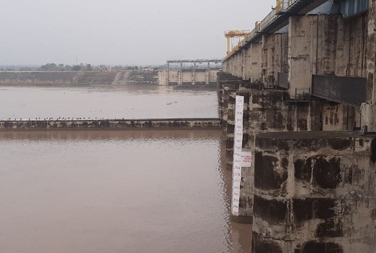 Haryana Weather Update: Yellow alert of cold wave and dense fog