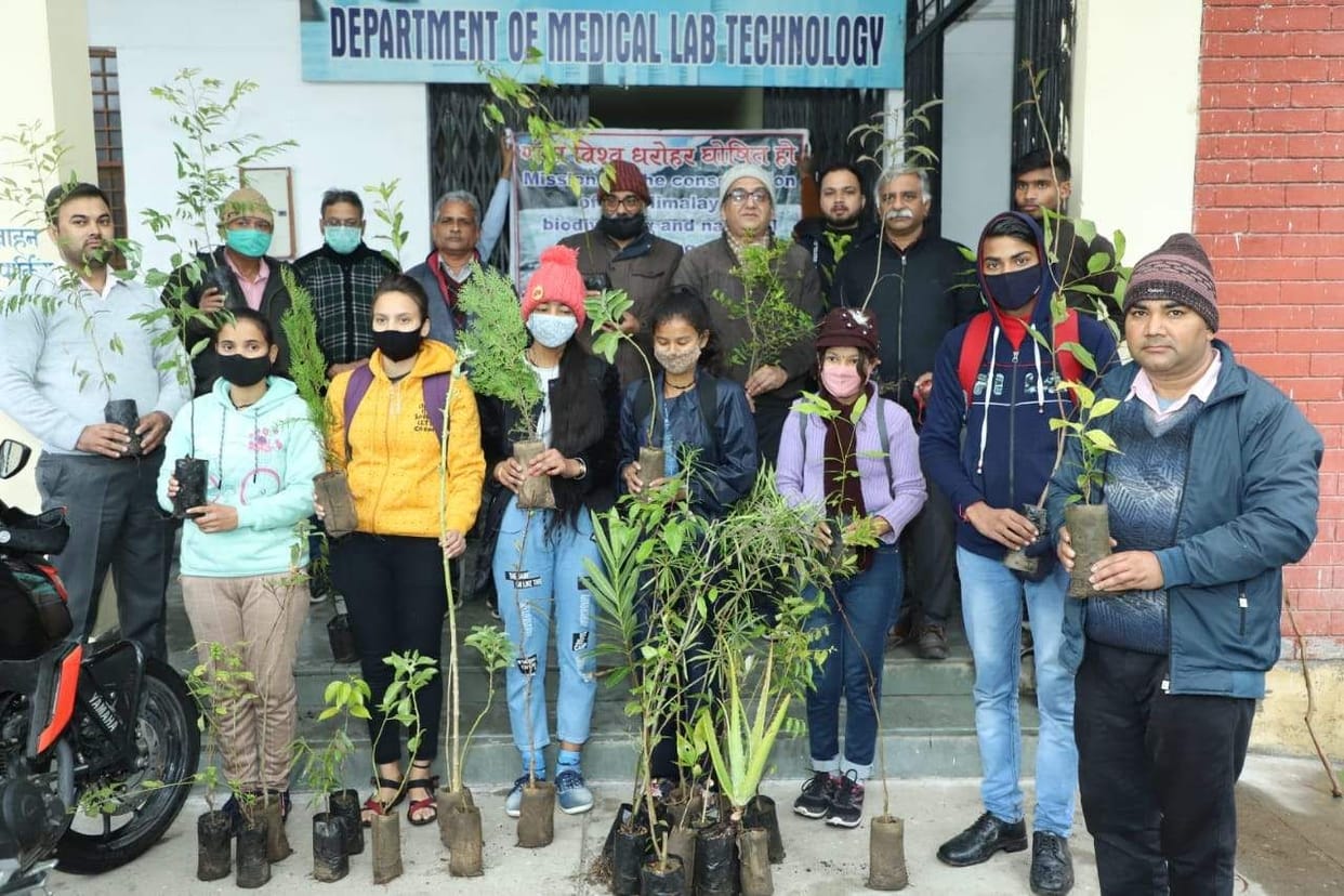 Herbal Garden built in the college campus