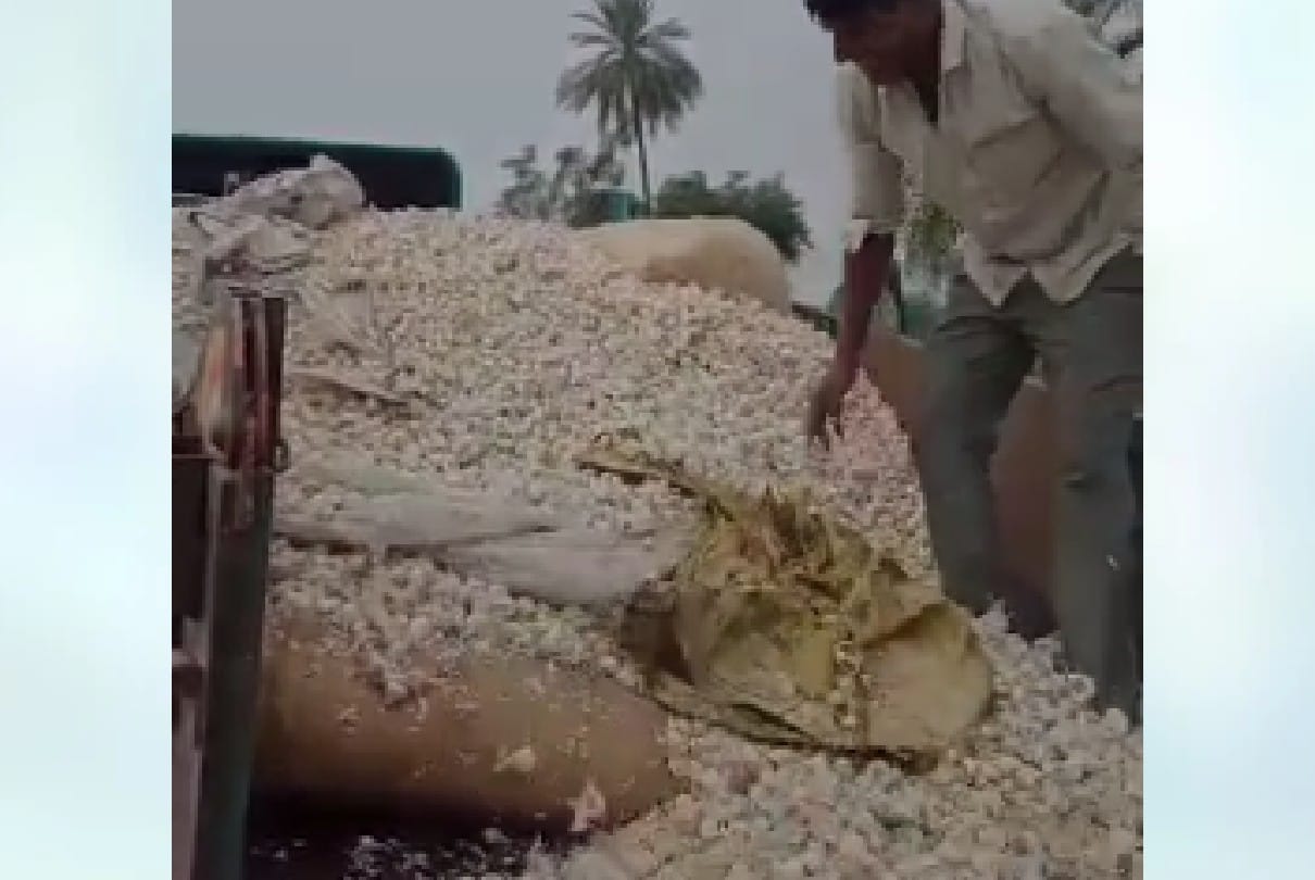 How farming will become a profitable business: 20 quintals of garlic thrown on the roadside due to not getting the right price in Dhar