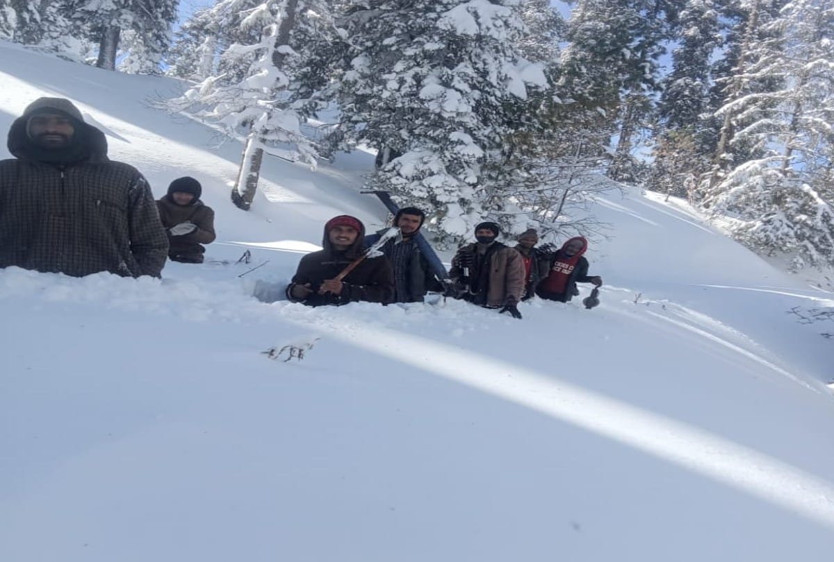 himachal weather update: Snowfall stalled around 600 connectivity roads, no power supply in rural areas, Several vehicles skidding on the snow