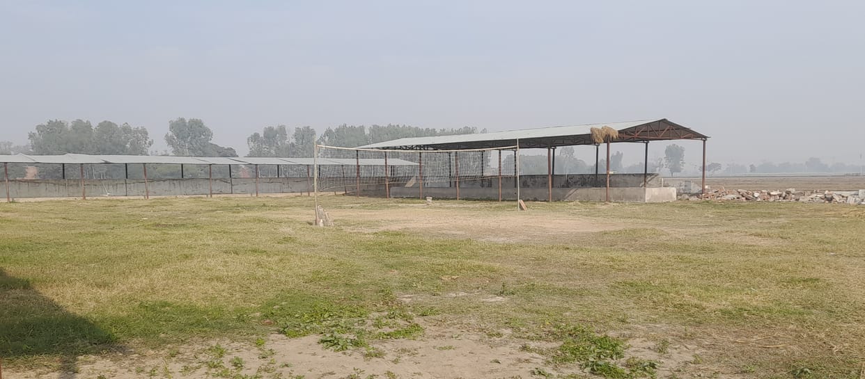 goshaalaen khaaleen, daave khokhale