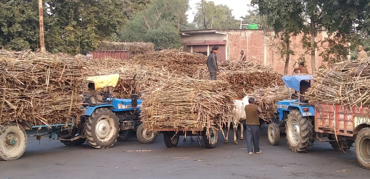 Tilhar sugar mill remained closed due to lack of sugarcane supply