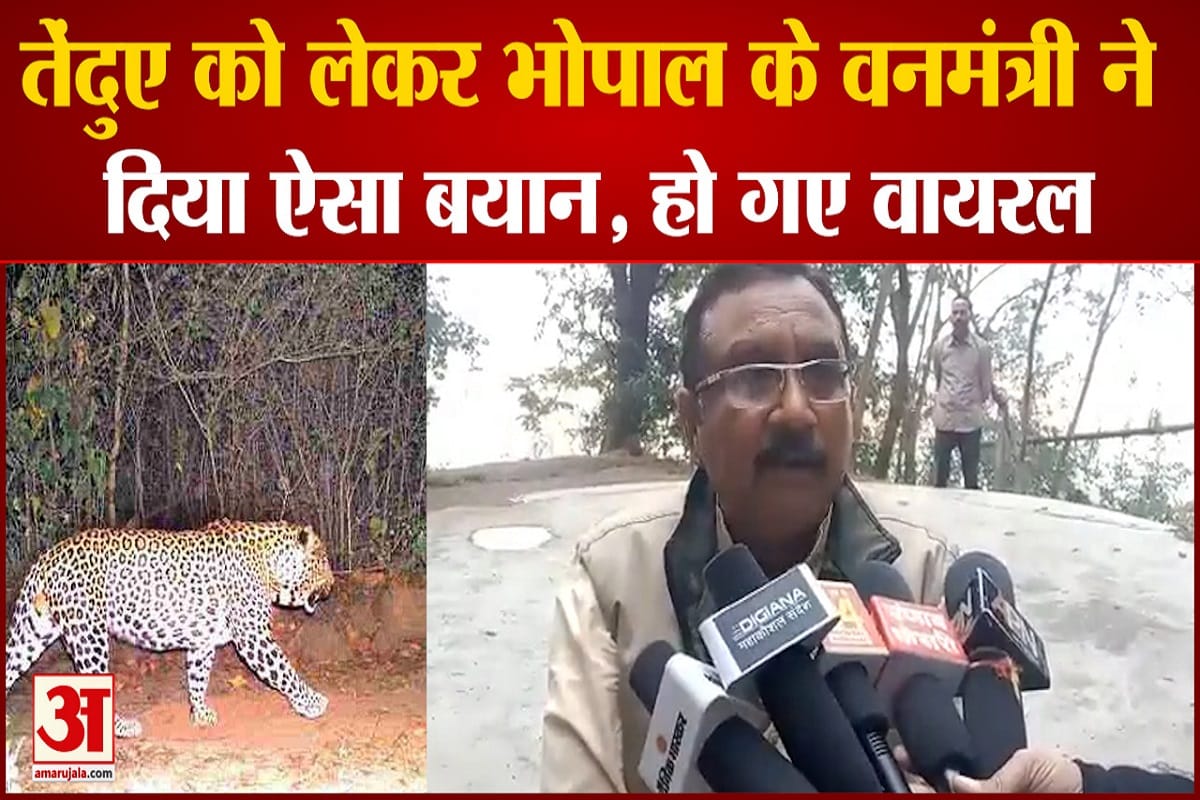 मध्यप्रदेश के वन मंत्री का बयान वायरल