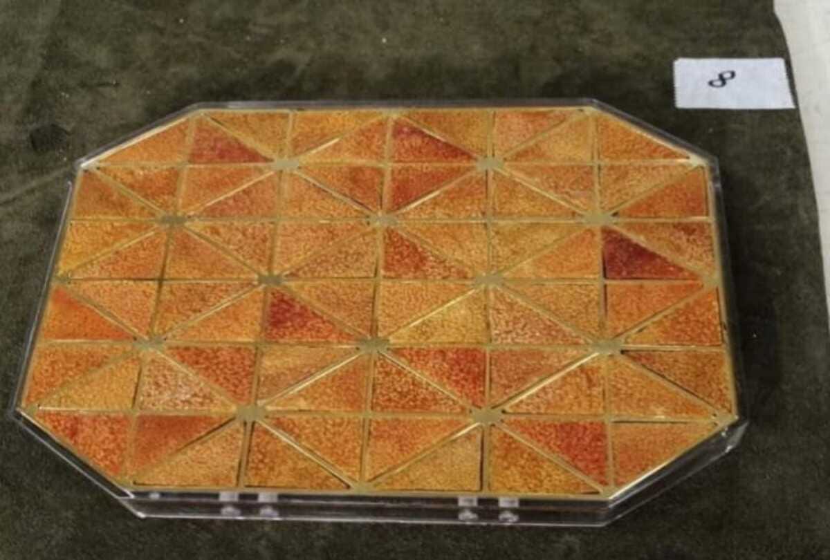 food artist made a handbag of orange peel who eco friendly know about its price