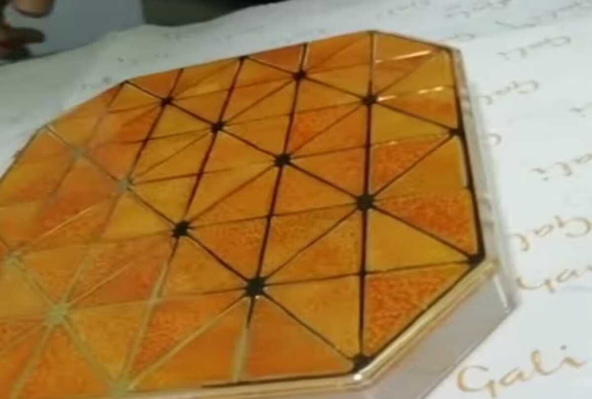 food artist made a handbag of orange peel who eco friendly know about its price