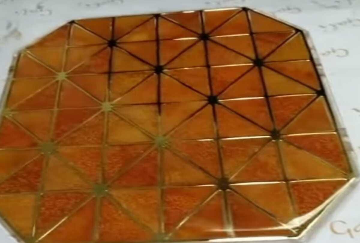 food artist made a handbag of orange peel who eco friendly know about its price