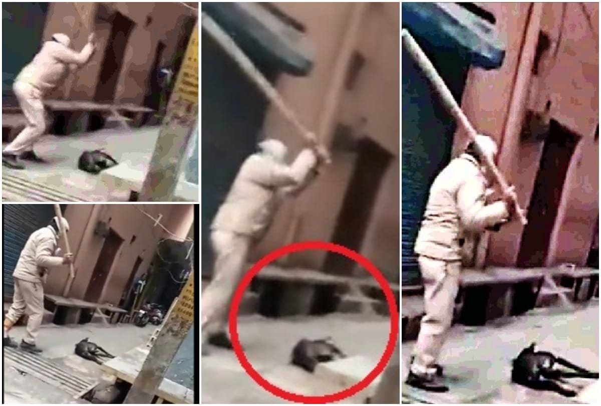 video viral ASI brutally beat up stray dog ASI posted at Jaffrabad police station see photos