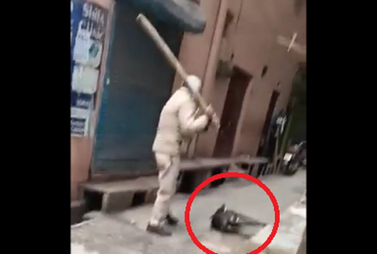 video viral ASI brutally beat up stray dog ASI posted at Jaffrabad police station see photos
