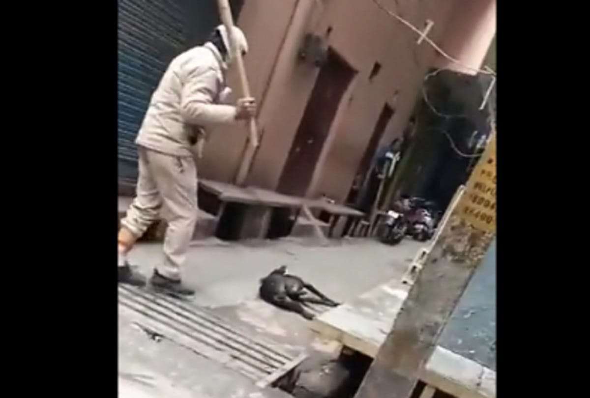 video viral ASI brutally beat up stray dog ASI posted at Jaffrabad police station see photos