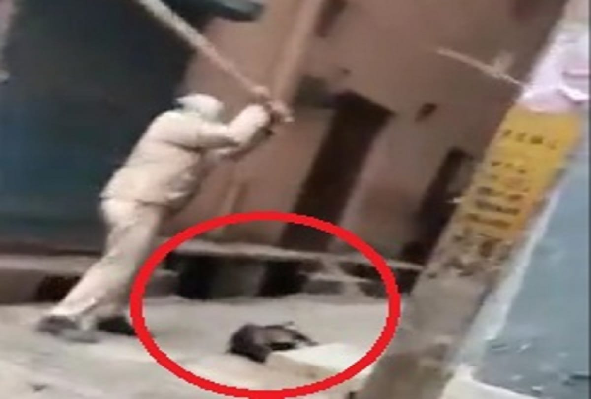video viral ASI brutally beat up stray dog ASI posted at Jaffrabad police station see photos