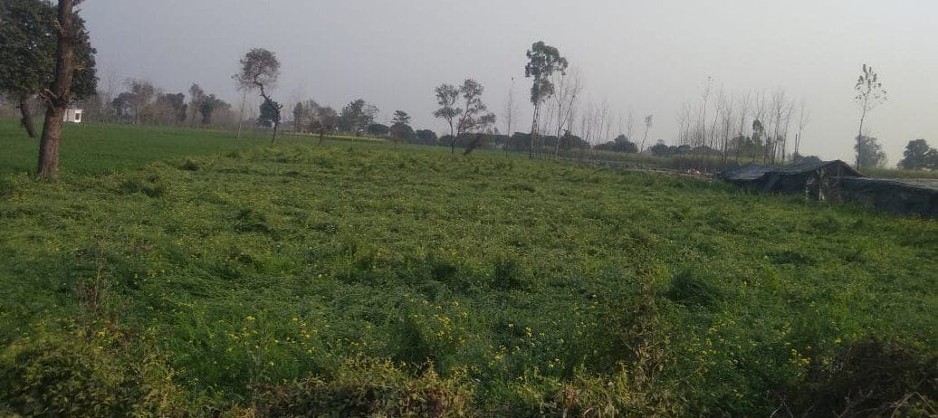 Disaster rained on farmers, hail fell on aspirations