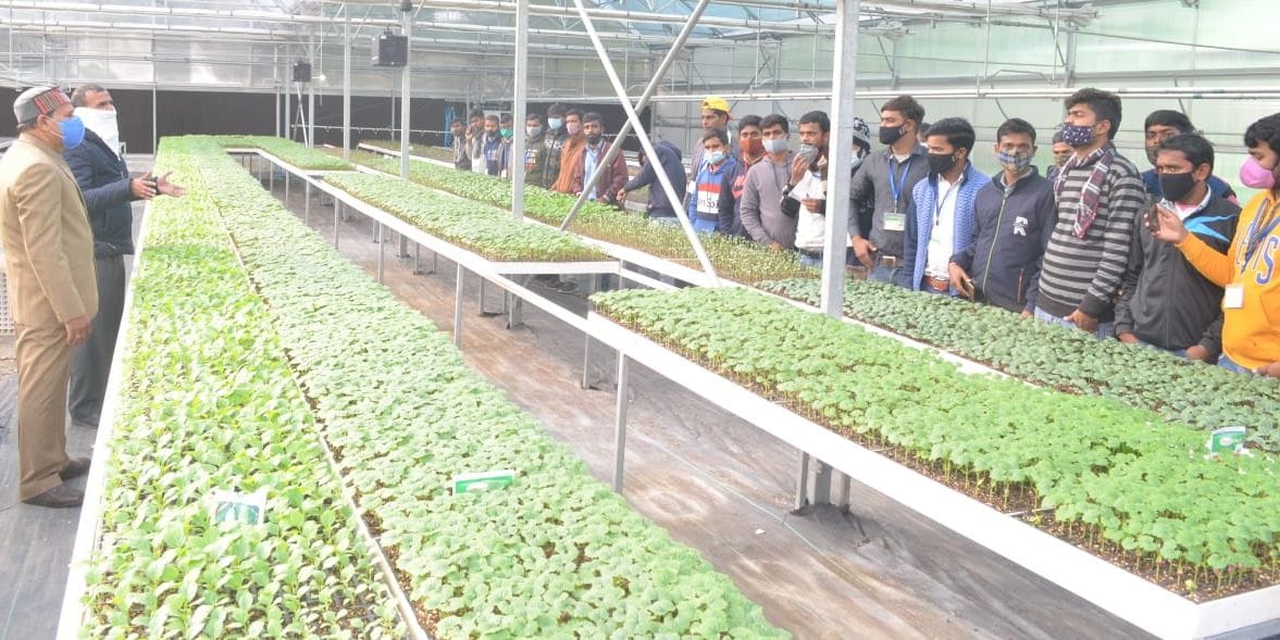 fathepur news,Gardening tips to the candidates