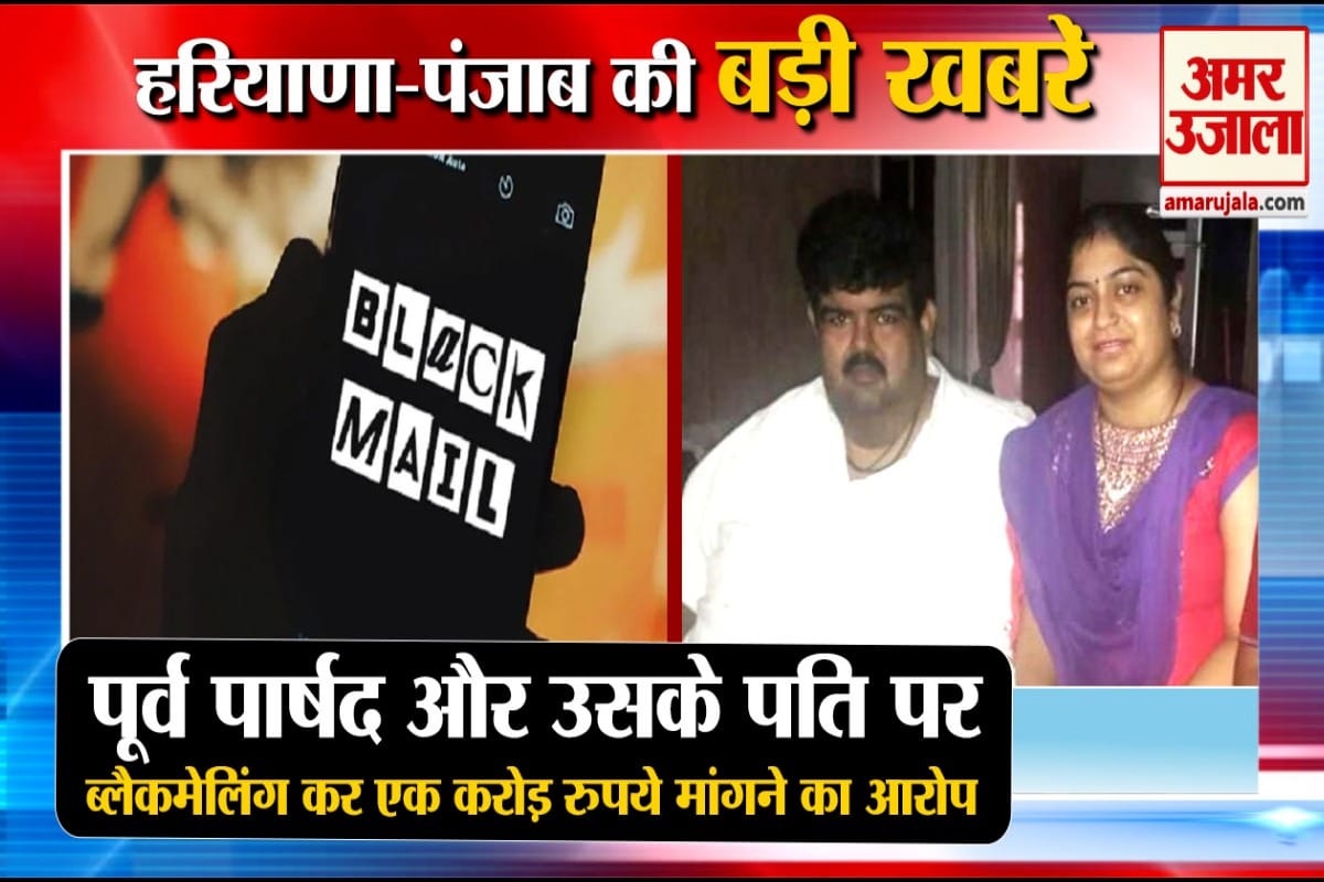 हरियाणा न्यूज