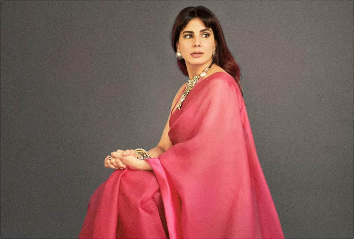 kirti kulhari in pink organza saree impress with elegance