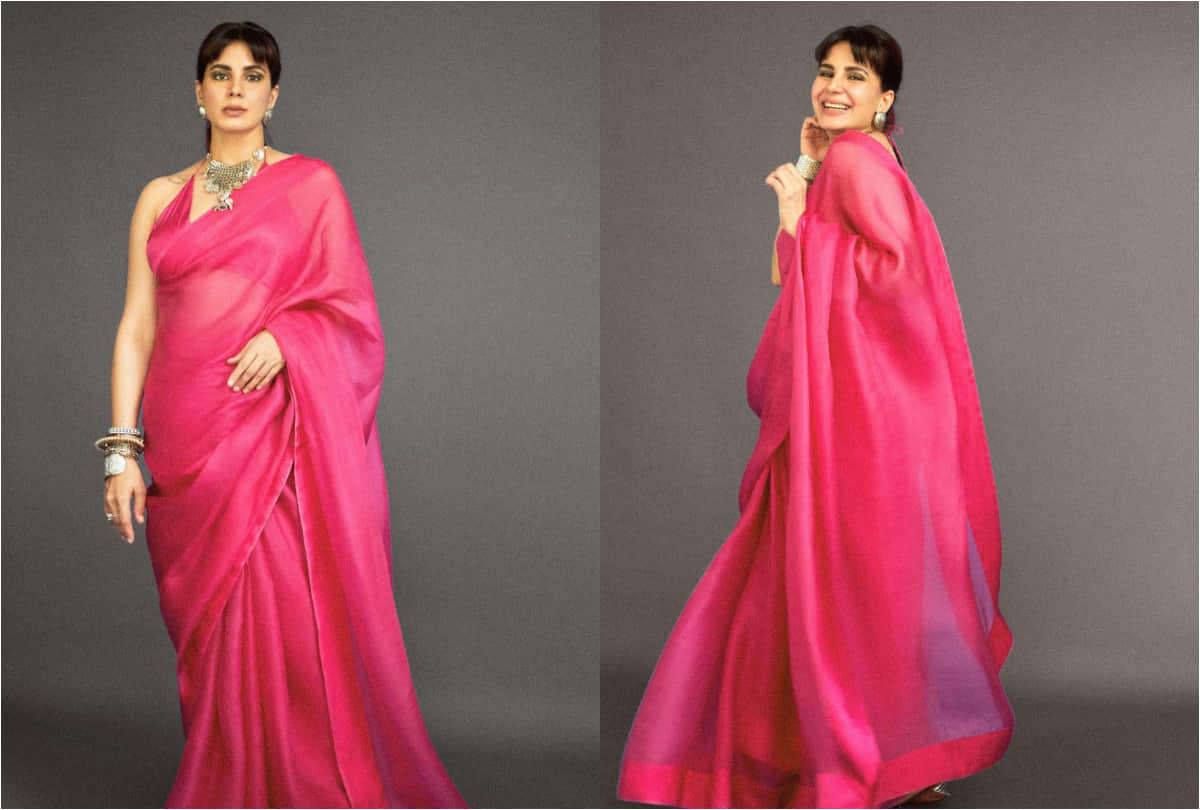kirti kulhari in pink organza saree impress with elegance