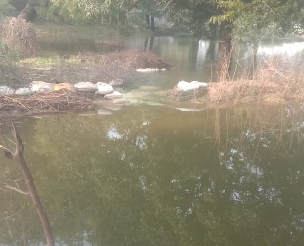 fathepur news,Then the minor torn, 50 bigha crop submerged