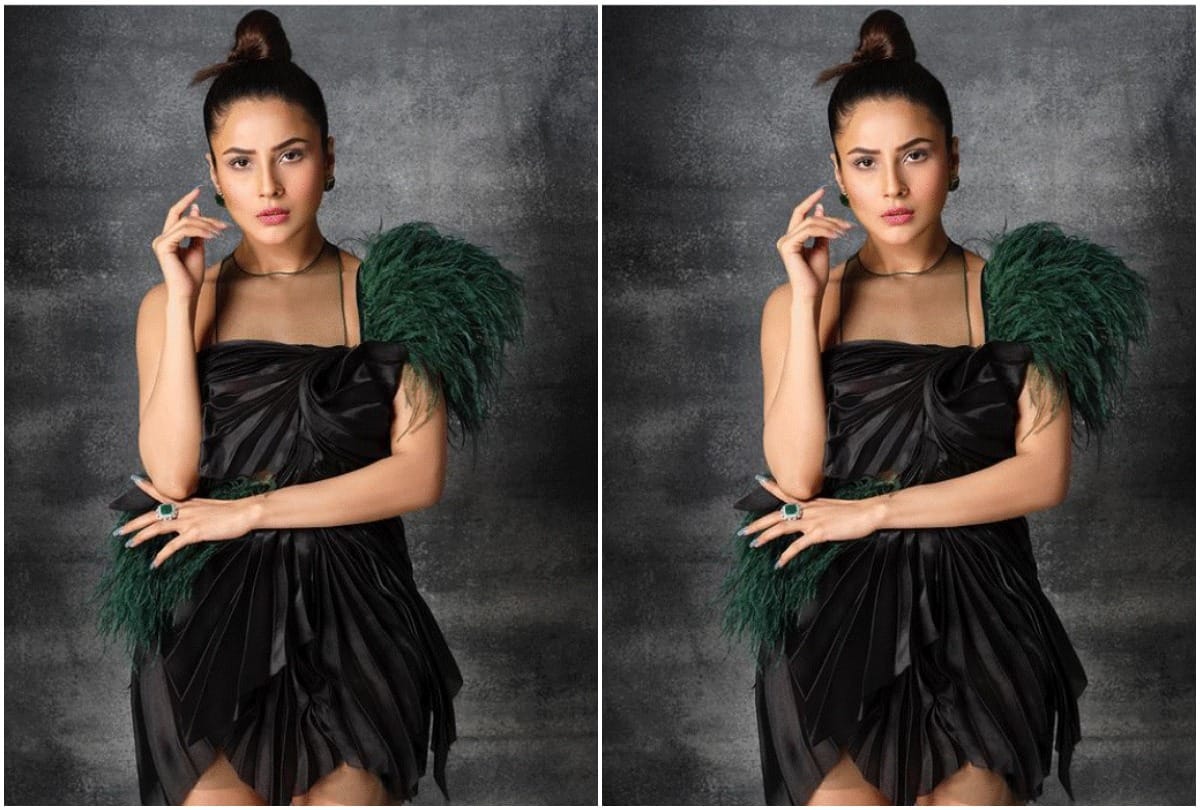 Shehnaaz glams up in black for Dabboo Ratnani's photo shoot See pics