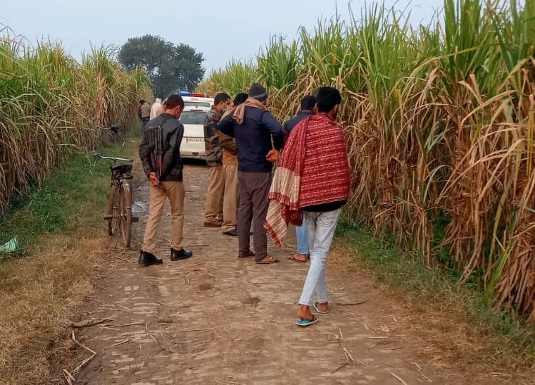 Uproar over the discovery of the remains of the cow dynasty in Choubli