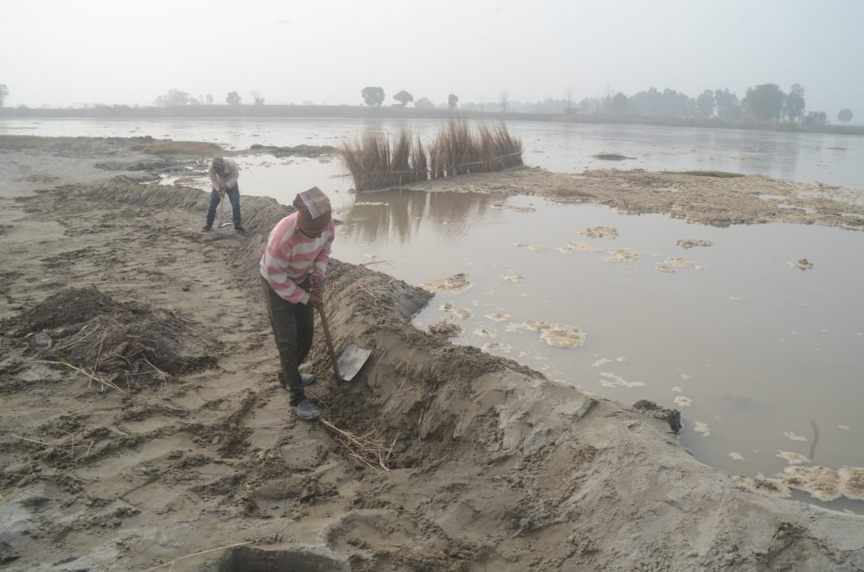 Yamuna's water level rises after rain on mountains