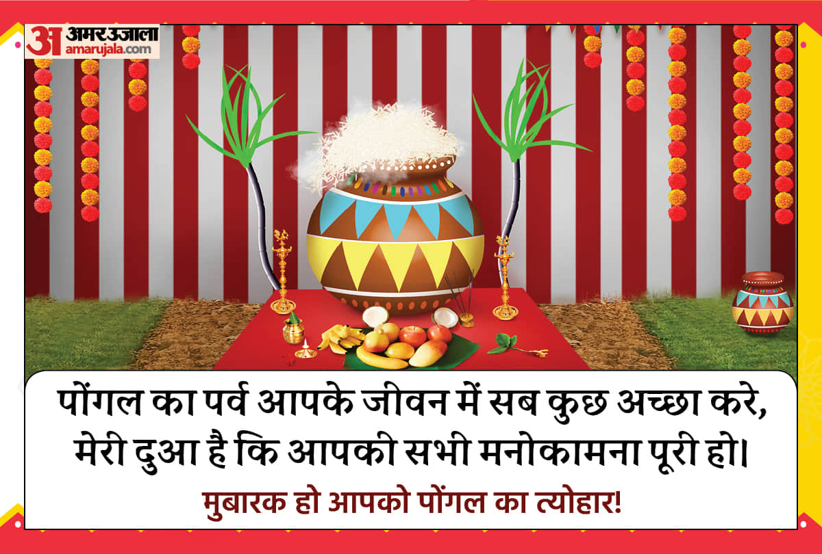 Happy Pongal 2022 Wishes Quotes Images Message Whatsapp Facebook Wallpapers