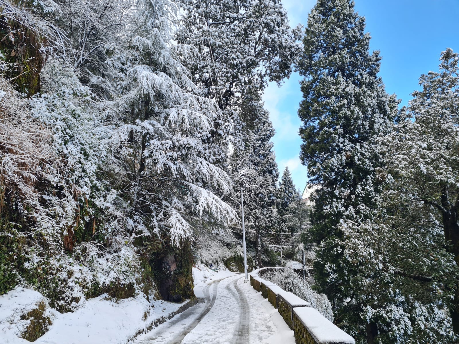 Uttarakhand Weather Forecast: first Snow fell in Mussoorie city early today, see photos