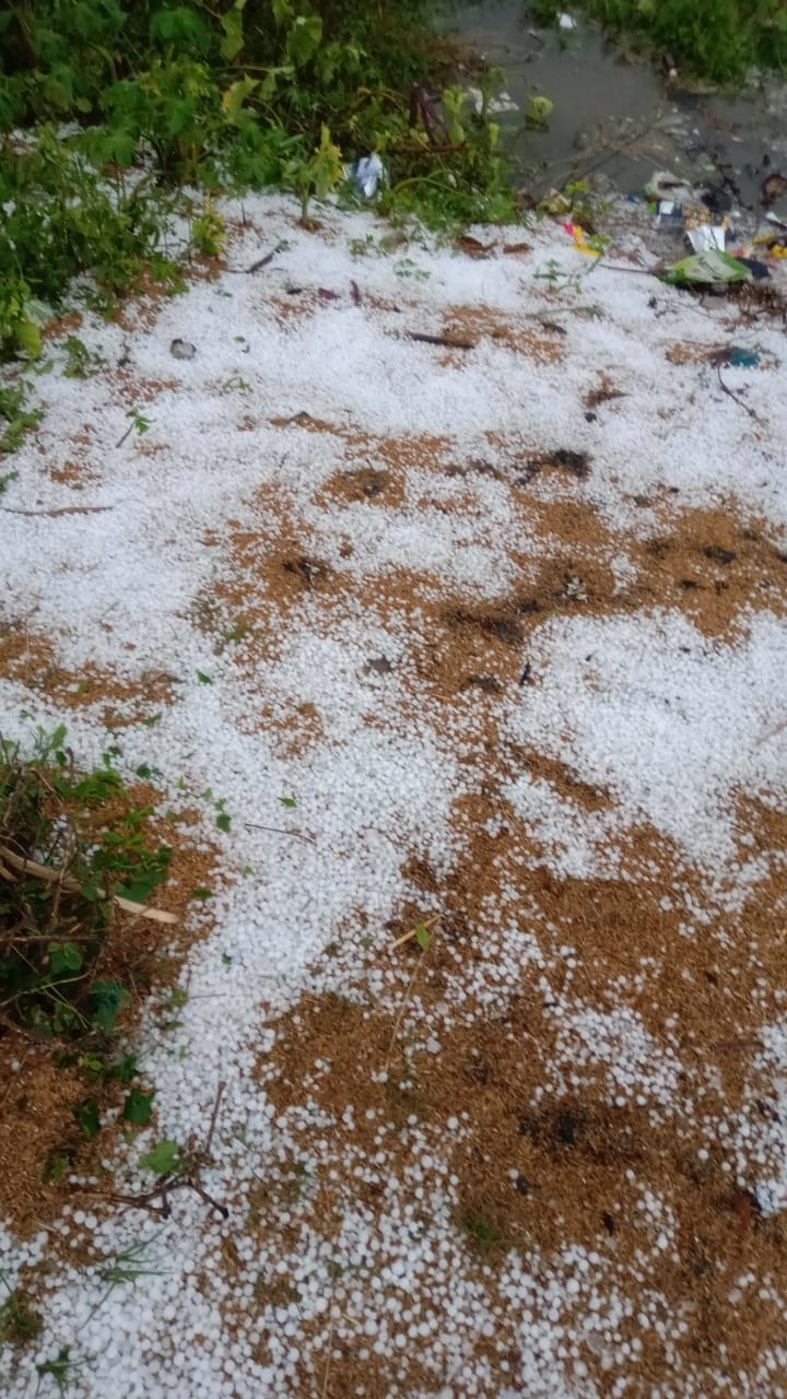 achaanak bigada mausam, baarish ke saath gire ole