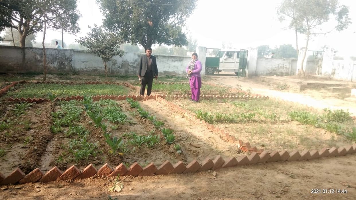 garden
