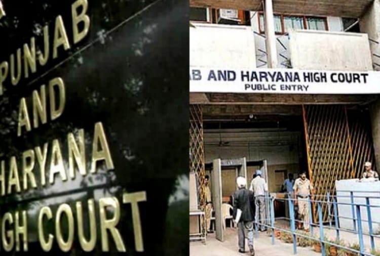 Punjab-Haryana High Court said drugs should not be used in Punjab Assembly elections 