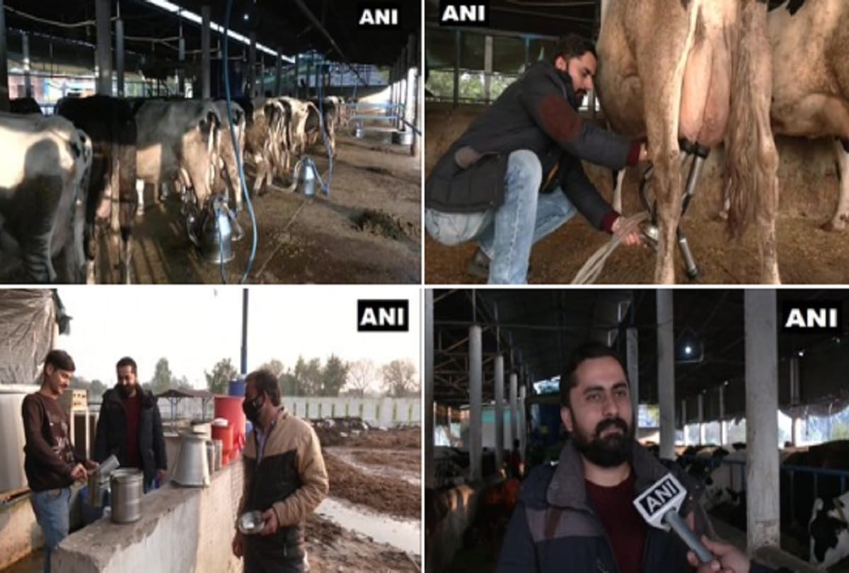 Jammu Kashmir: Youth left high profile job of IT company to adopt self-employment, opened dairy, now motivating others