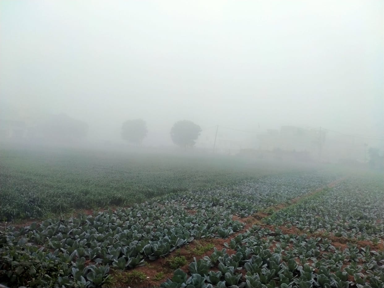 Meteorological Department's warning - cold will haunt till 18