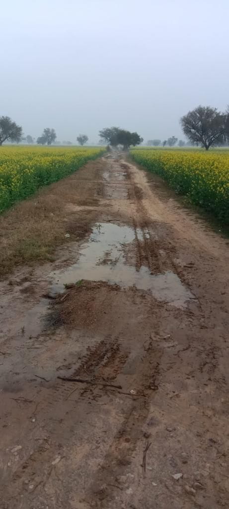 Boundary dispute : 4.5 km still not paved even after 18 years. way of, people of three villages upset