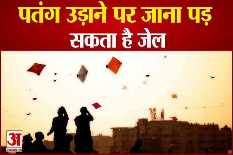 Kite Flying Law In India License Of Patang Makar Sankranti Amar Ujala