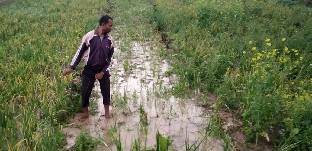 Rain damage survey work not yet completed