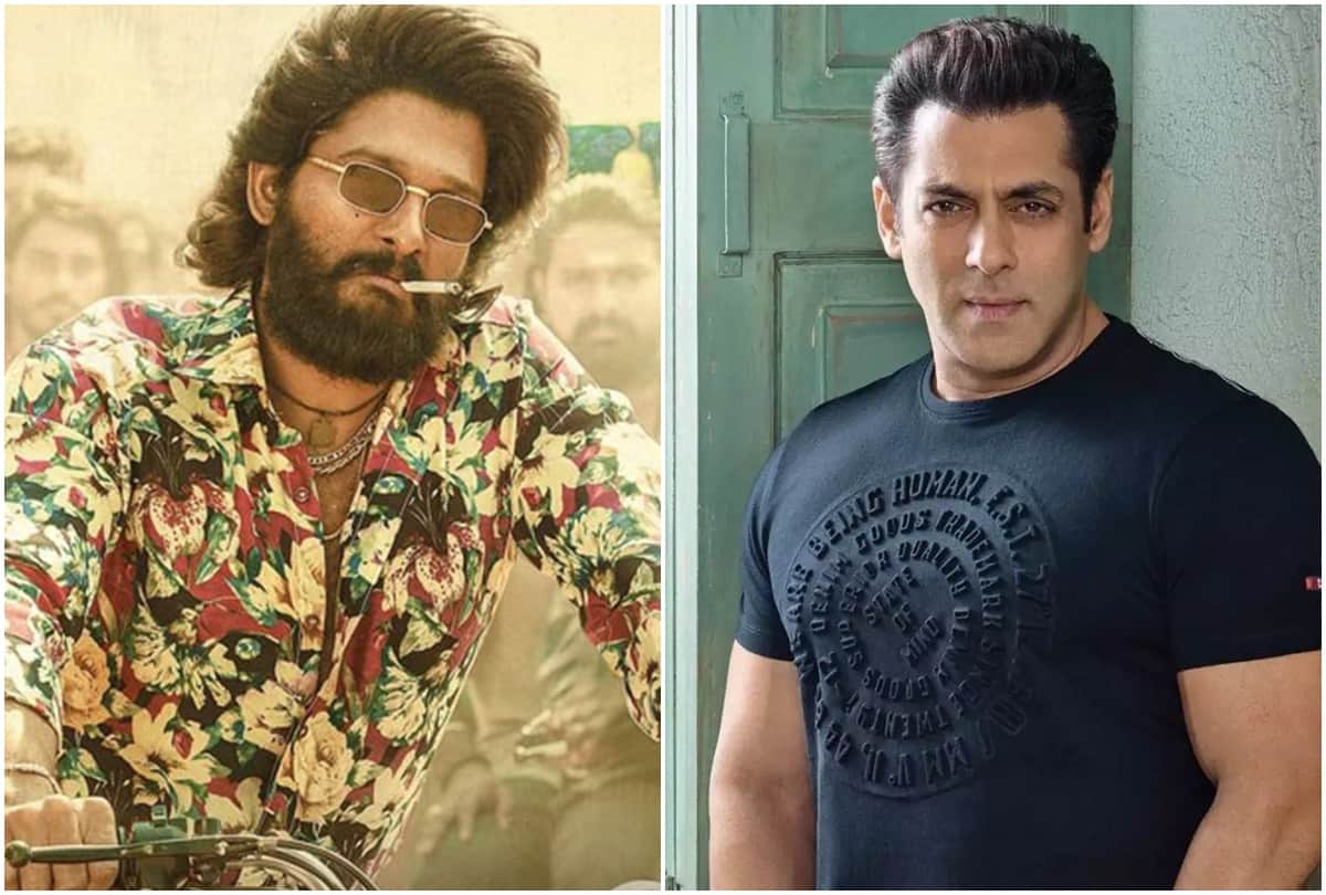 Filmy Wrap: Pushpa released in Hindi on OTT and Mumbai Civil Court dismissed Salman khan plea read 10 news from the entertainment world