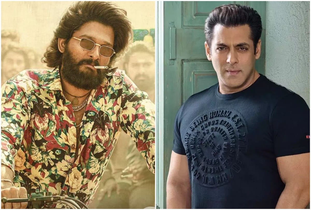 Filmy Wrap: Pushpa released in Hindi on OTT and Mumbai Civil Court dismissed Salman khan plea read 10 news from the entertainment world