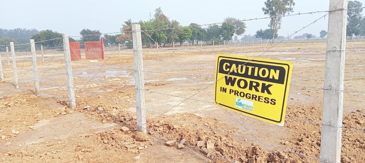 Trees coming in the way of airport construction will be cut, yard becomes meeting place