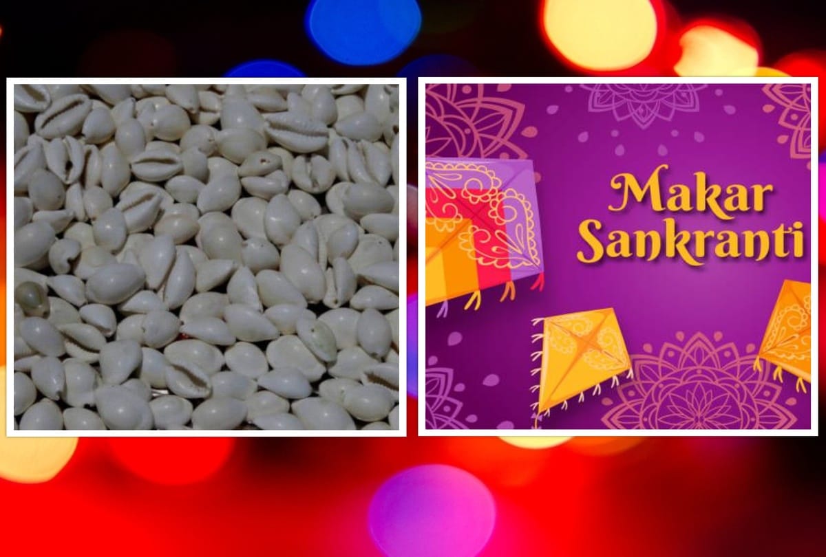 Makar Sankranti 2022 Keep cockleshell at this place in the house today Mother Lakshmi and Lord Sun brings luck