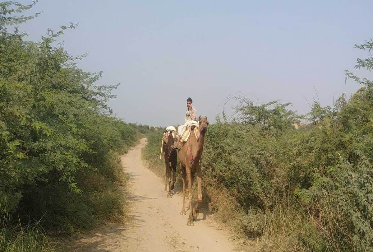 Villagers Depends On Chambar River Water After 70 Year Of Development Bah Agra News