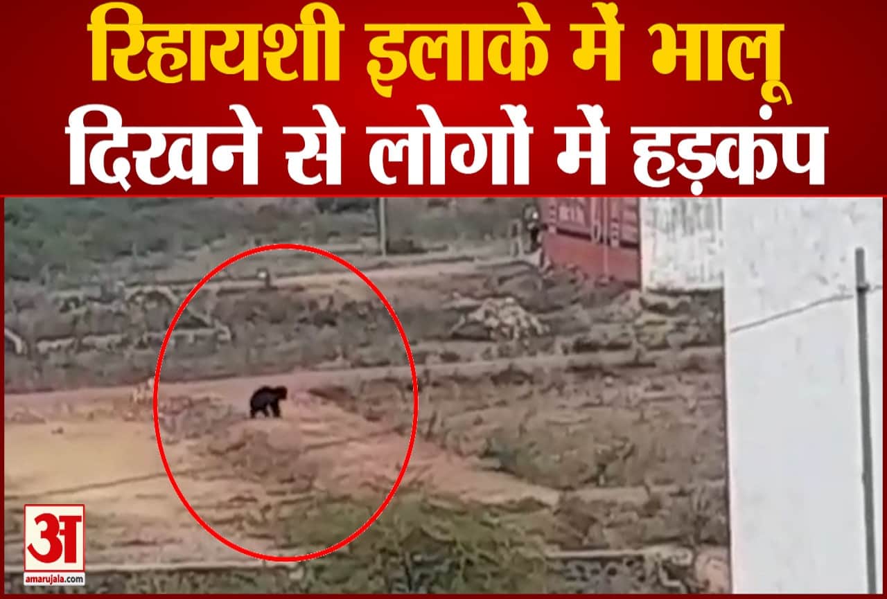 सवाई मोधोपुर भालू