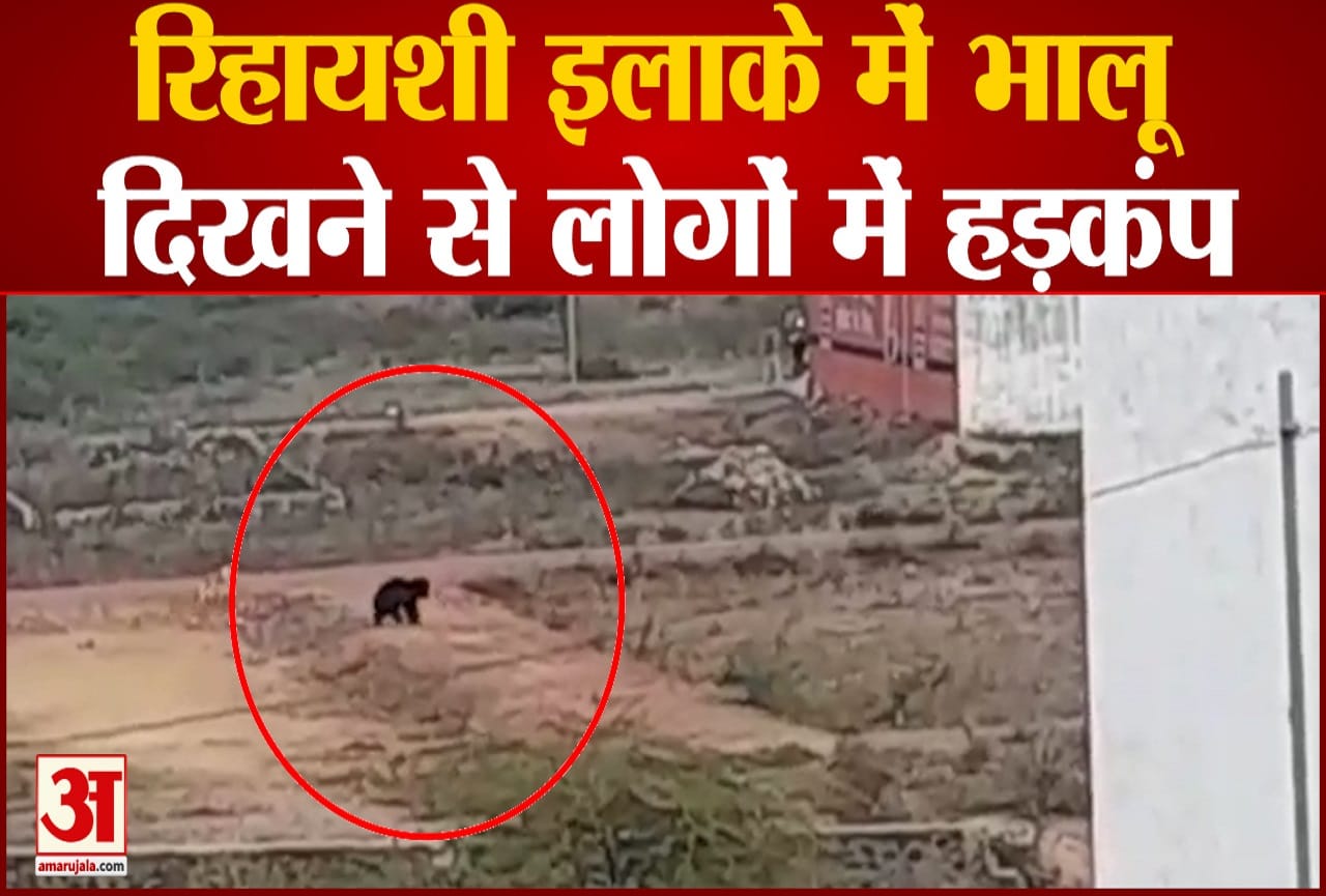 सवाई मोधोपुर भालू
