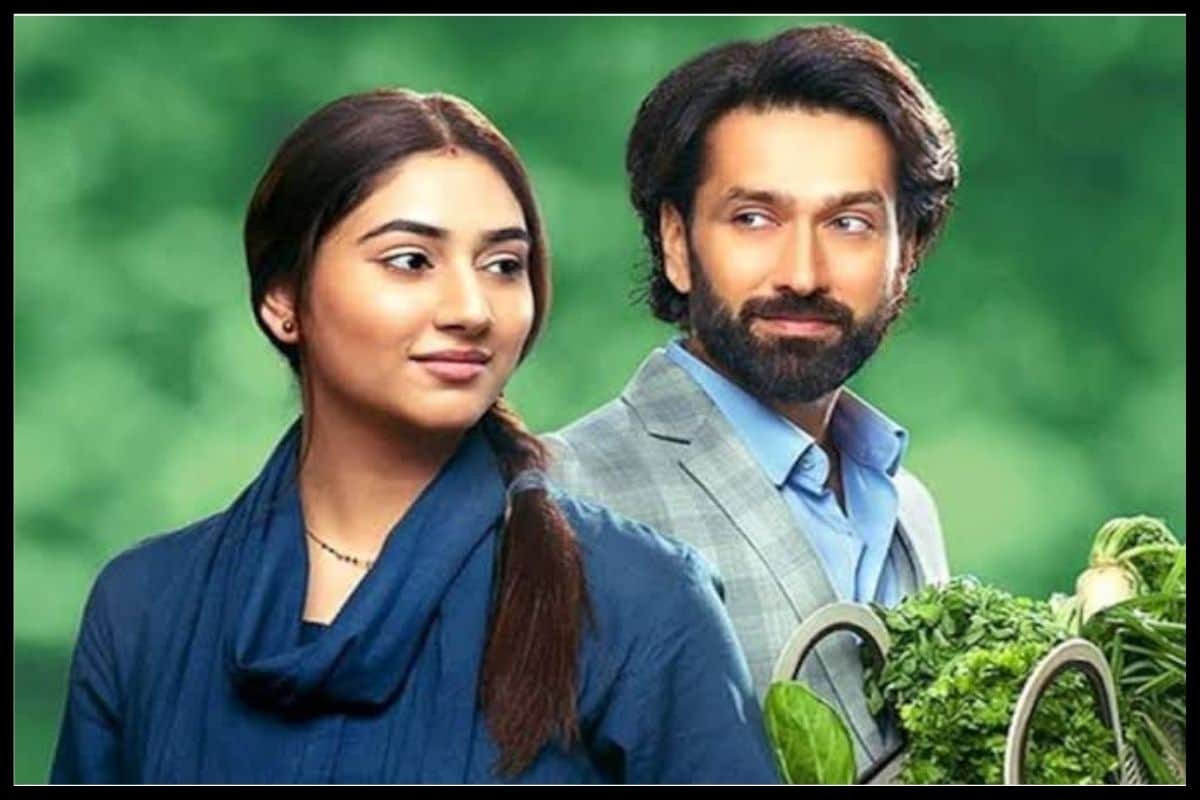 Bade Achhe Lagte Hain 2 Completed 100 episodes, Nakul Mehta and Disha Parmar expressed their new hope