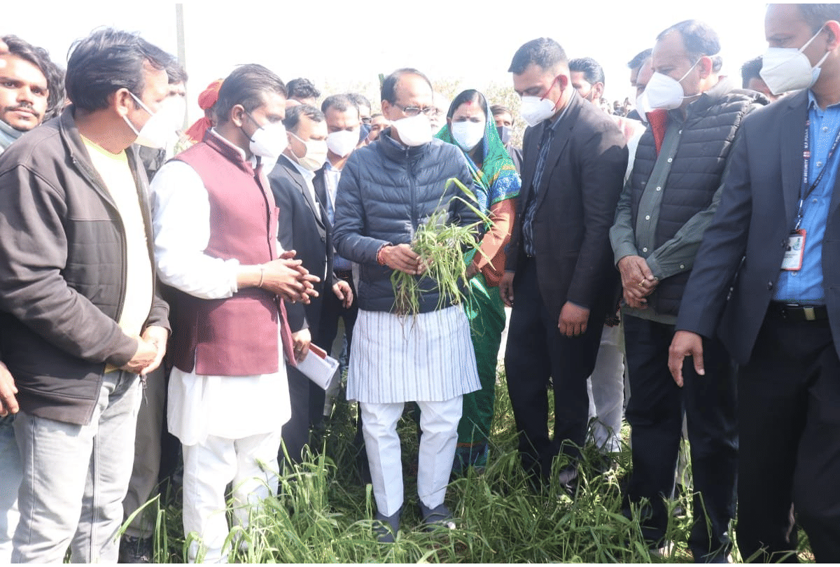 Madhya Pradesh: CM Shivraj visited hail affected Vidisha and Rajgarh districts, said - dishonesty and corruption cannot be tolerated on the rights of the poor