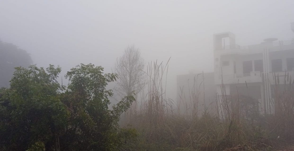 Frost increased chills, suffering due to winter