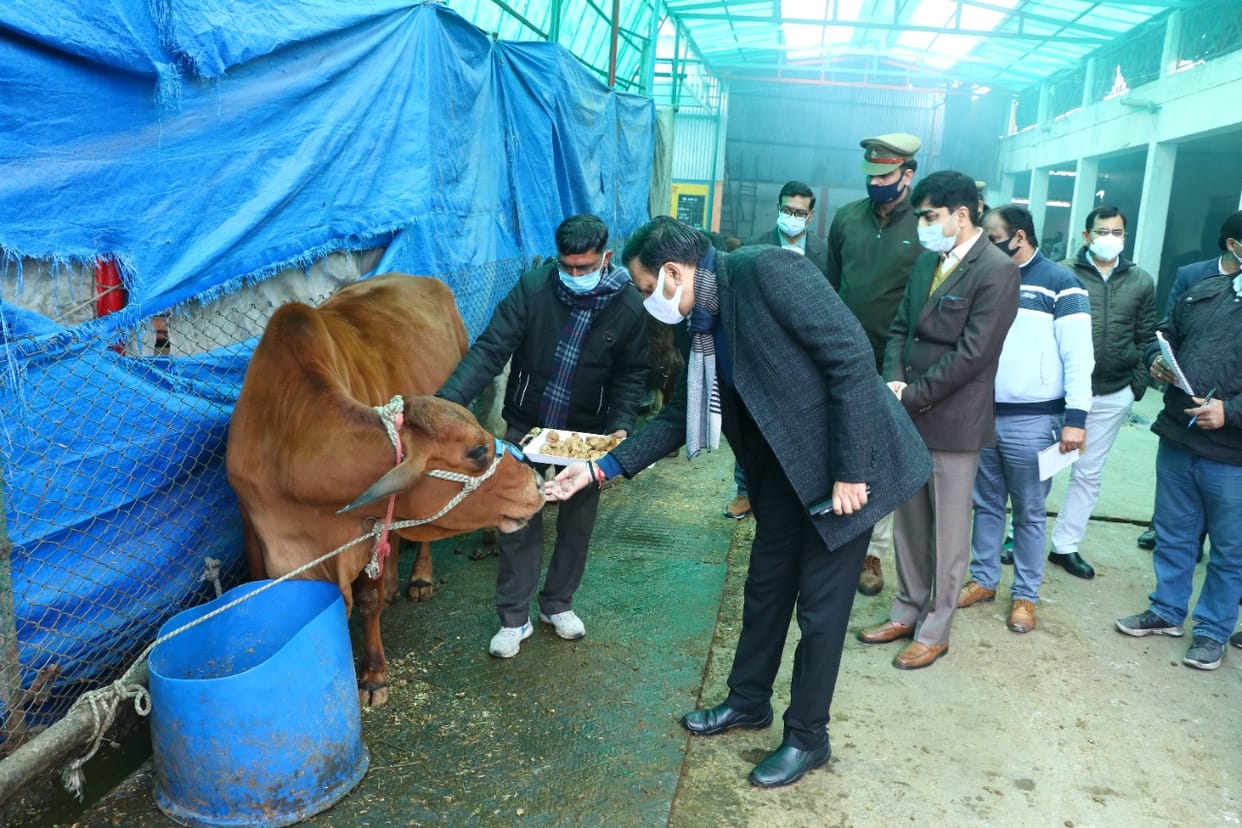 Instructions given to make Gaushala self-sufficient