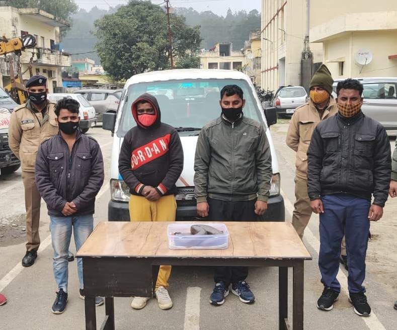 Five smugglers arrested with rare species of snake