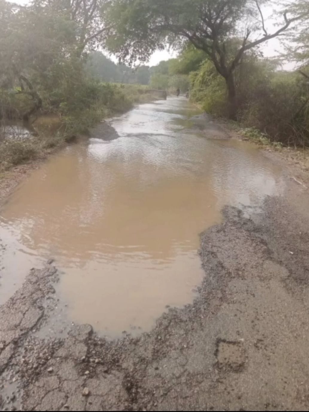 Aihar Minor cut, more than 50 bighas of crop submerged