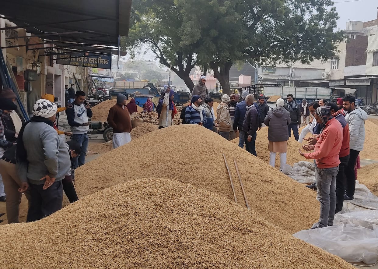 Paddy prices are not increasing, suddenly increased arrivals in the market
