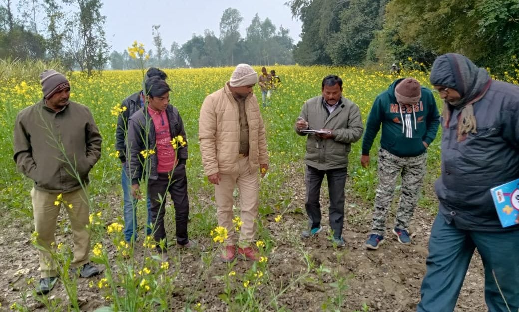 team comes from peelibheet to catch  tiger